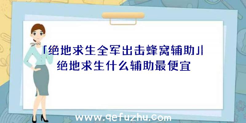 「绝地求生全军出击蜂窝辅助」|绝地求生什么辅助最便宜